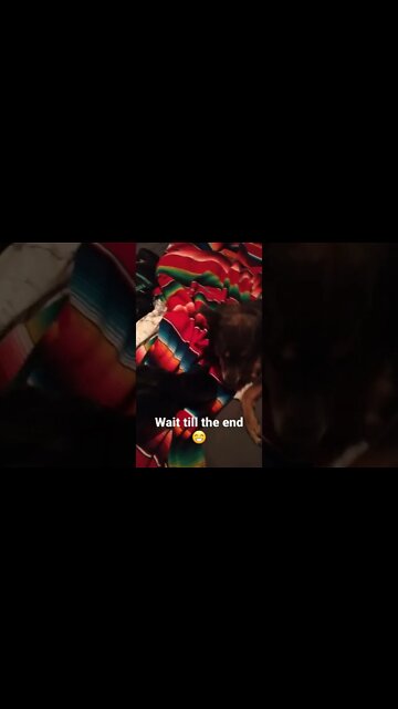 pugs are just different