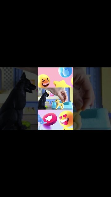 shorts cachorrinhos #1