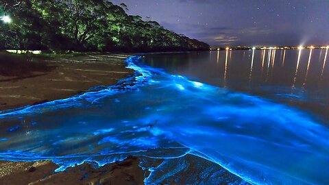 Glowing beach in the Maldives - Interesting facts