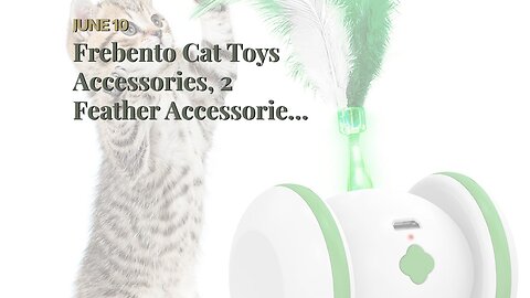 Frebento Cat Toys Accessories, 2 Feather Accessories and 1 Ribbons Accessories, Interactive Cat...