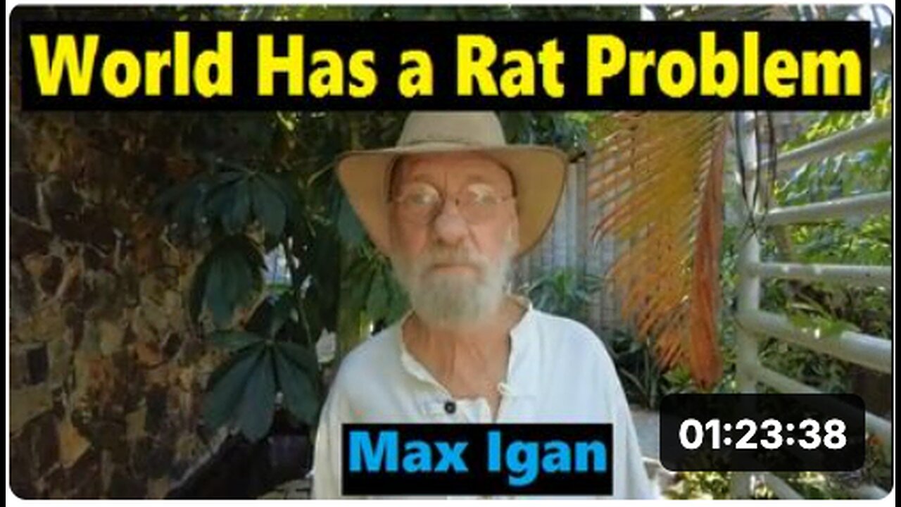 MAX IGAN - WORLD HAS A RAT PROBLEM !!