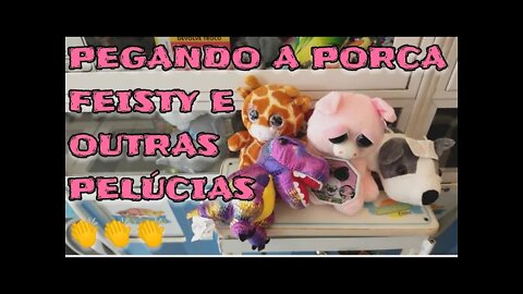 PEGANDO O FEISTY PETS PORCA E OUTRAS PELÚCIAS 👏👏👏