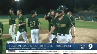 Tucson Saguaros trying to three-peat