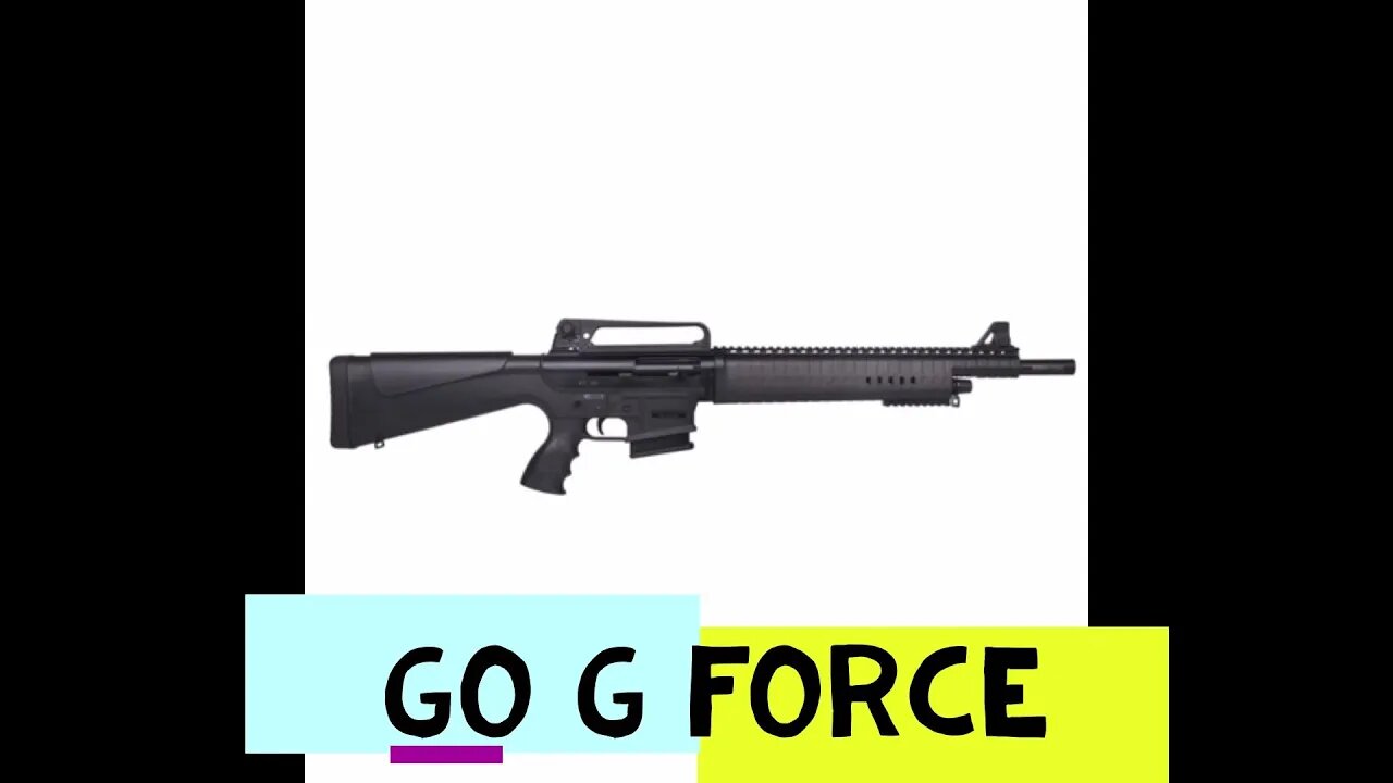 G force Arms AR 12ga ( Jive TURKEY shotguns)