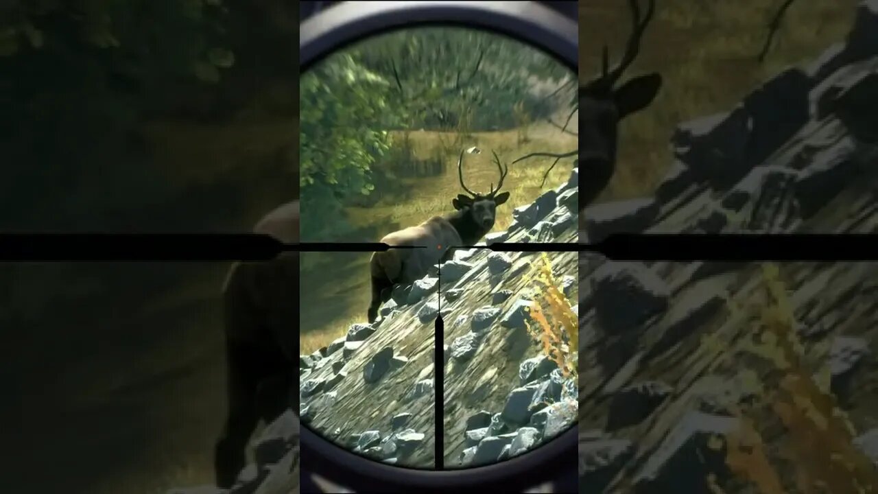 VITAL HITS 9 🦌🎯 - Way of the Hunter Animal Reactions #shorts