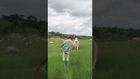 funny videos | #reels #shorts