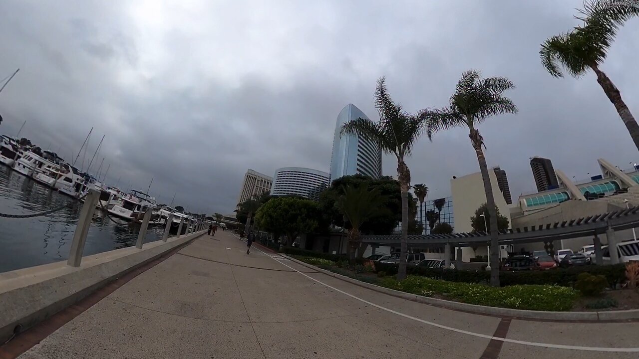 Blasian Babies DaDa In San Diego For Convention Center And Walks Through Embarcadero Marina Park Docks!