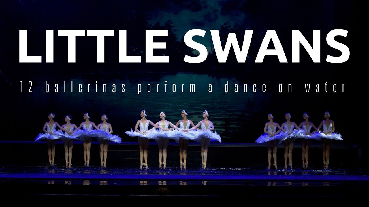 THE DANCE OF THE LITTLE SWANS ON THE WATER, WHICH YOU DEFINITELY HAVEN’T SEEN!