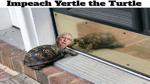 Impeach Yertle the Turtle!