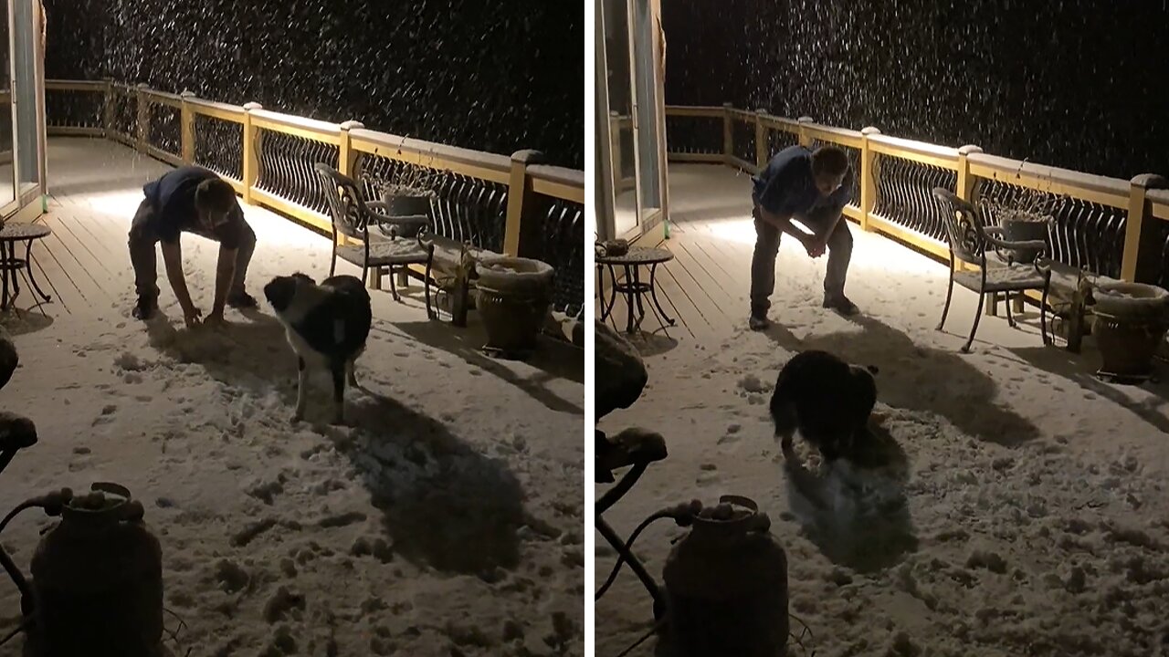 Pup's First Time In The Snow Will Melt Your Heart