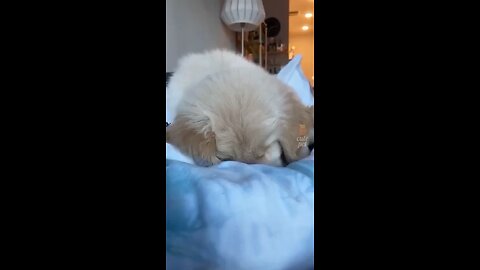 Something light for fun, to take out the daily tension.