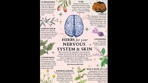 Healing Herbs
