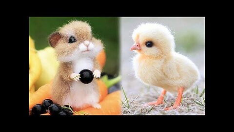 Cute animals video | cutest animals on planet | part 1