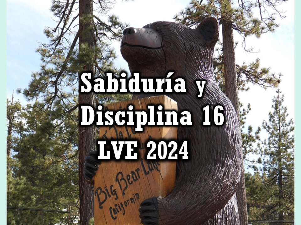 Sabiduría y Disciplina 16