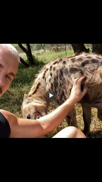 Dean Schneider, a wildlife enthusiast, befriended a hyena.