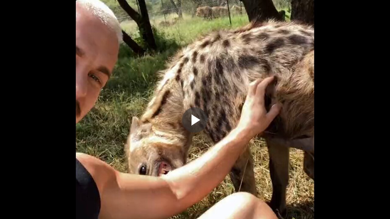 Dean Schneider, a wildlife enthusiast, befriended a hyena.