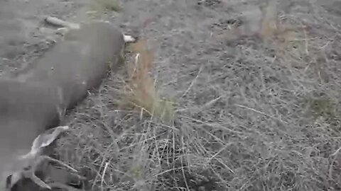 a sad truth found far to early.