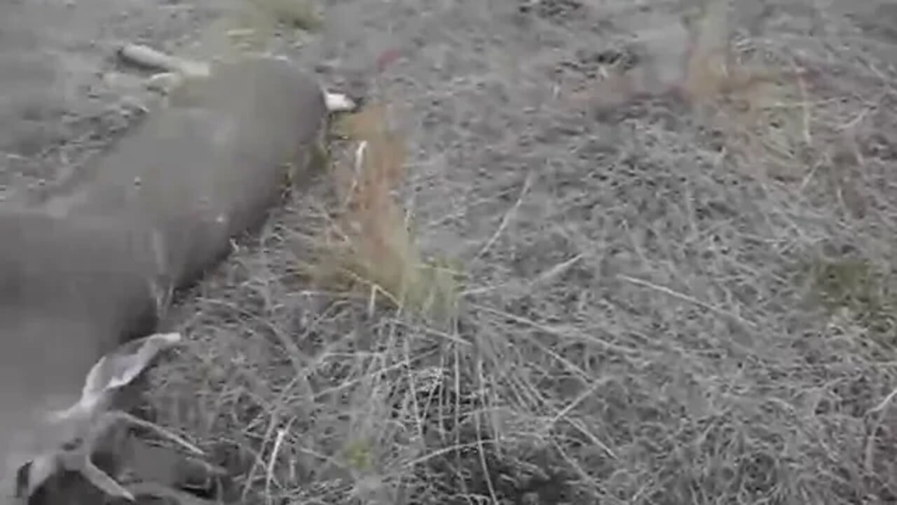 a sad truth found far to early.