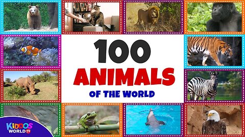 A Hundred Animals in One Adventure"