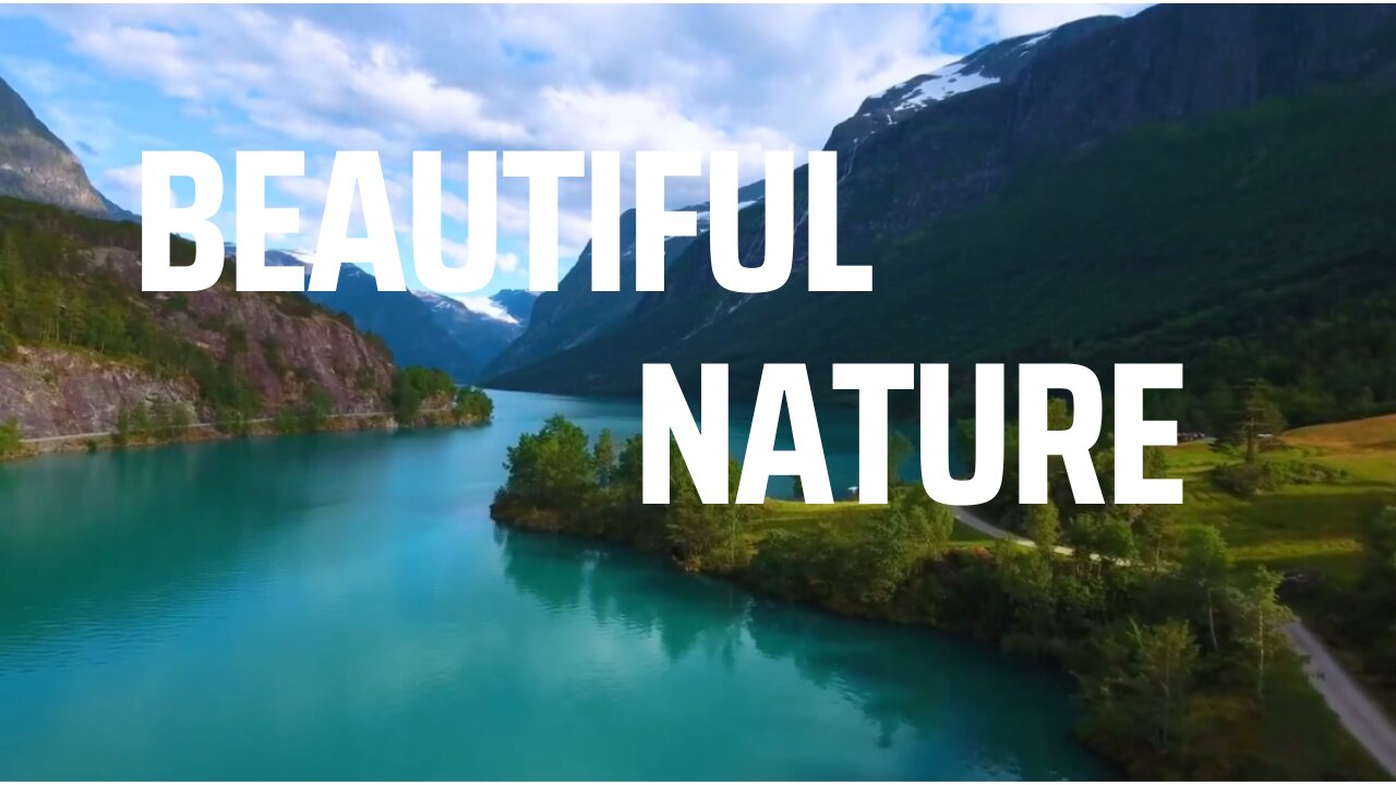 Beautiful Nature Video Full HD | River | Jungle