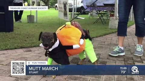 YOUR WEEKEND: Palm Beach Pride, Boat Show, ManateeFest, Mutt March, Dinosaurs, and more