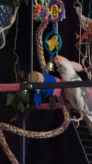 Lord Luka Has a Love, Hate Relationship with His Bell