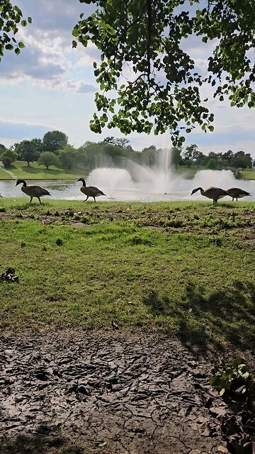 My Peaceful Place - 1,2,3, Wheee!