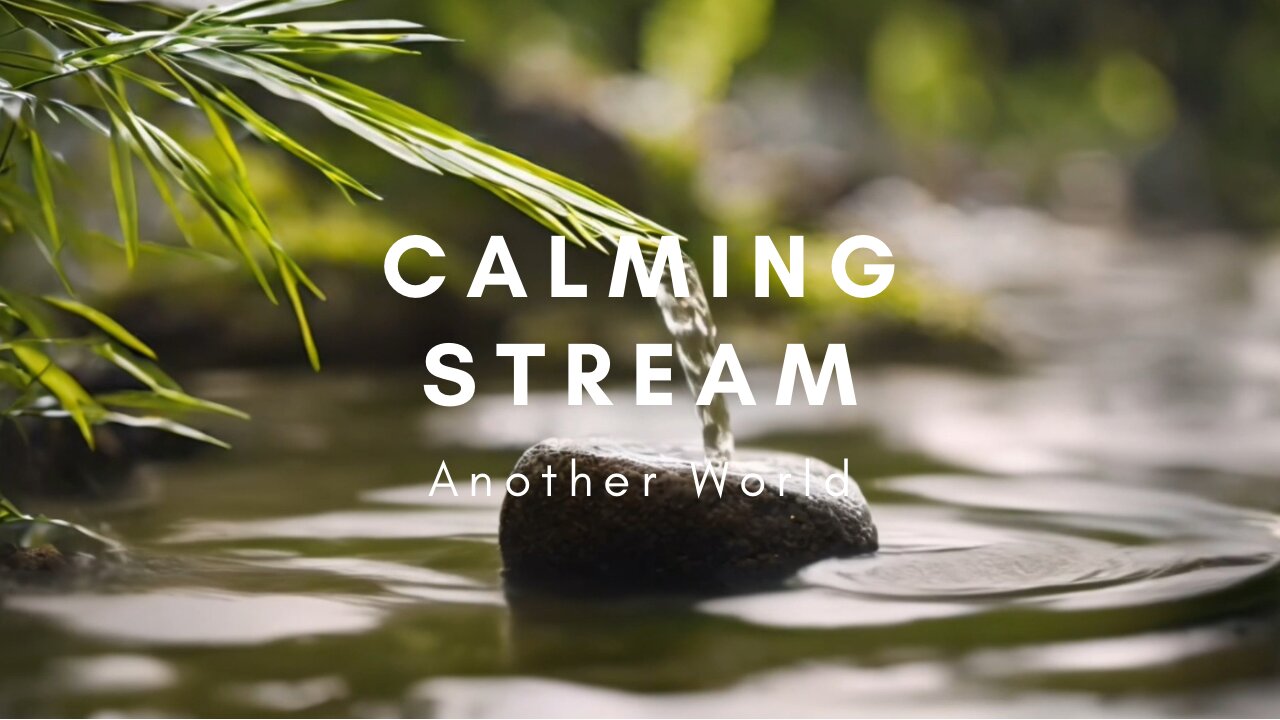 Calming Stream | Tranquil trickling water for relaxation