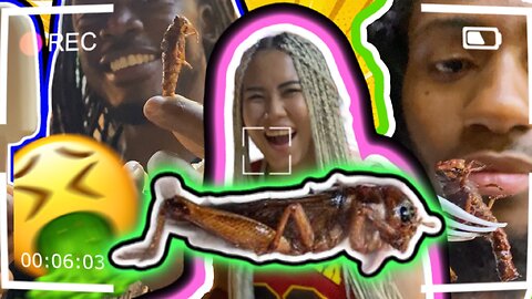 Beautiful Thailand Women Makes My Friends EAT Bugs ! | It WAS Crunchy ! | Journey to ZIN