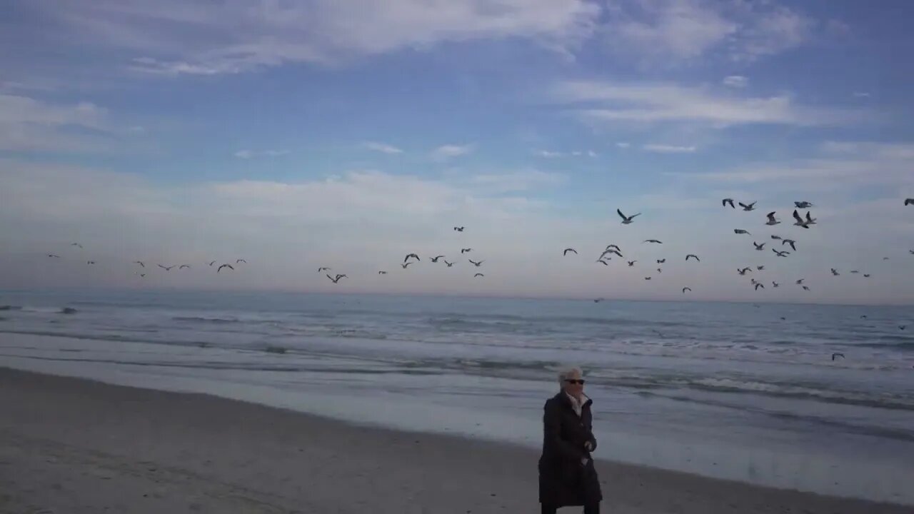 The running (flying) of the Gulls at Myrtle Beach