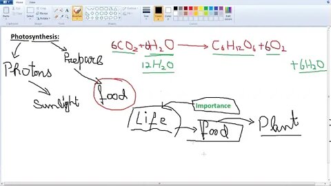 Class 9th Bio Photosythesis