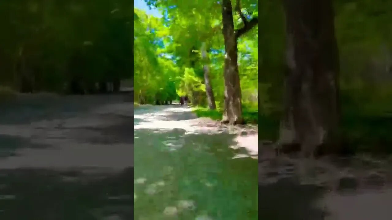 Timelapse at Point Pleasant Park Halifax