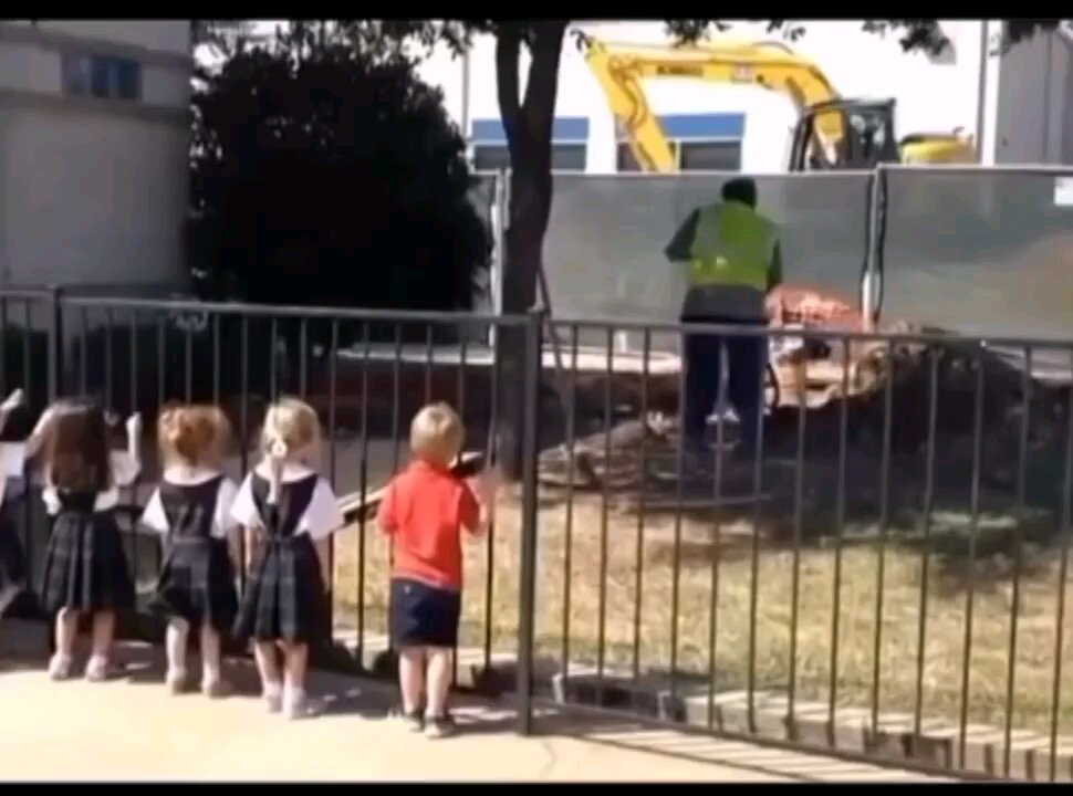 Wholesome: Try not to smile, it's impossible.