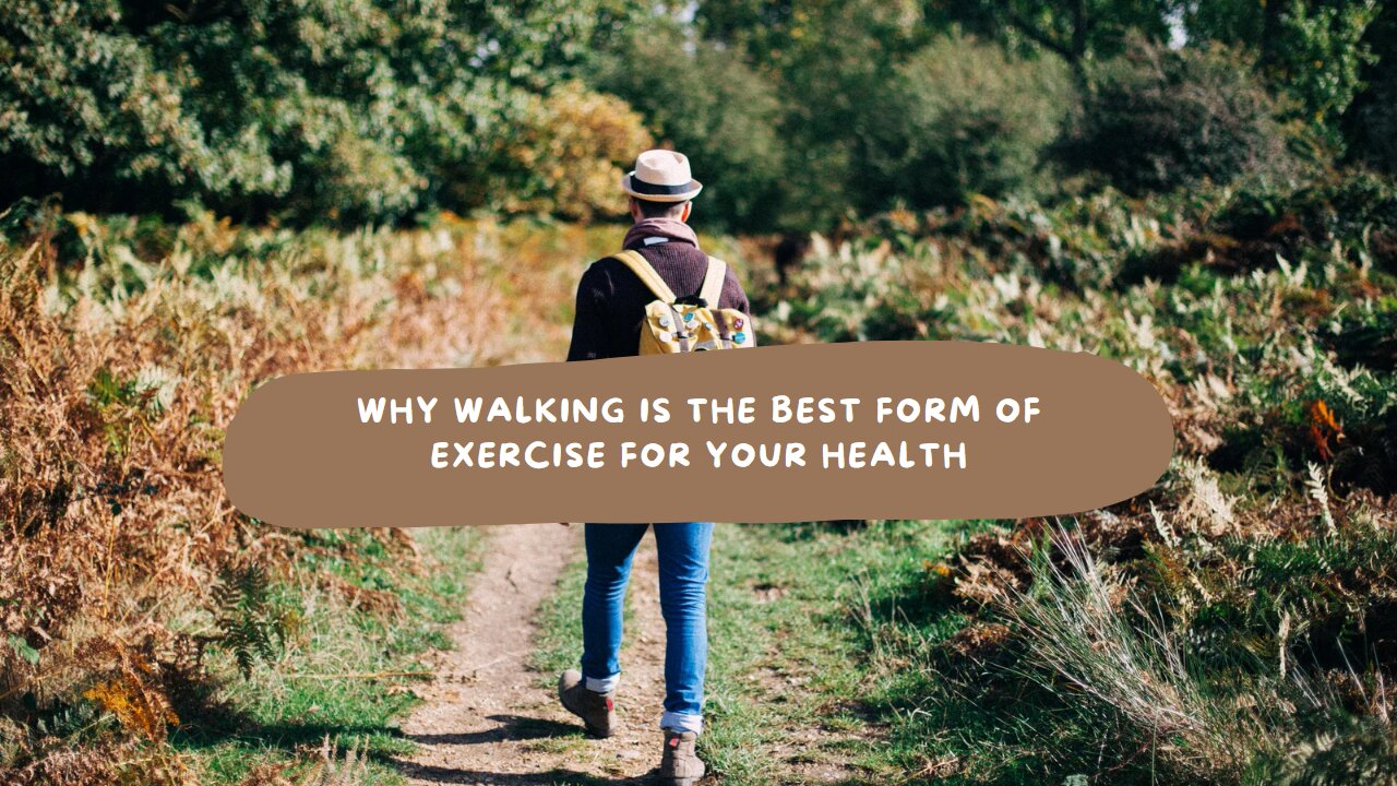 why walking is the best exercise for your body