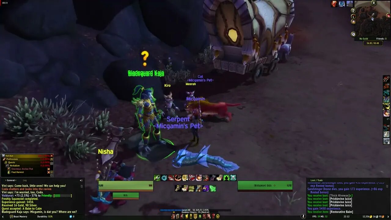 World of Warcraft MMORPG A Balm to Calm