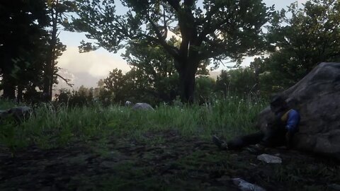 Red Dead Redemption 2 part 10