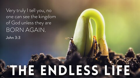 The Endless Life