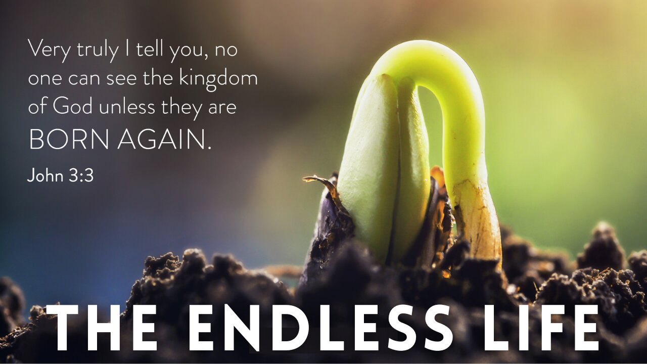 The Endless Life