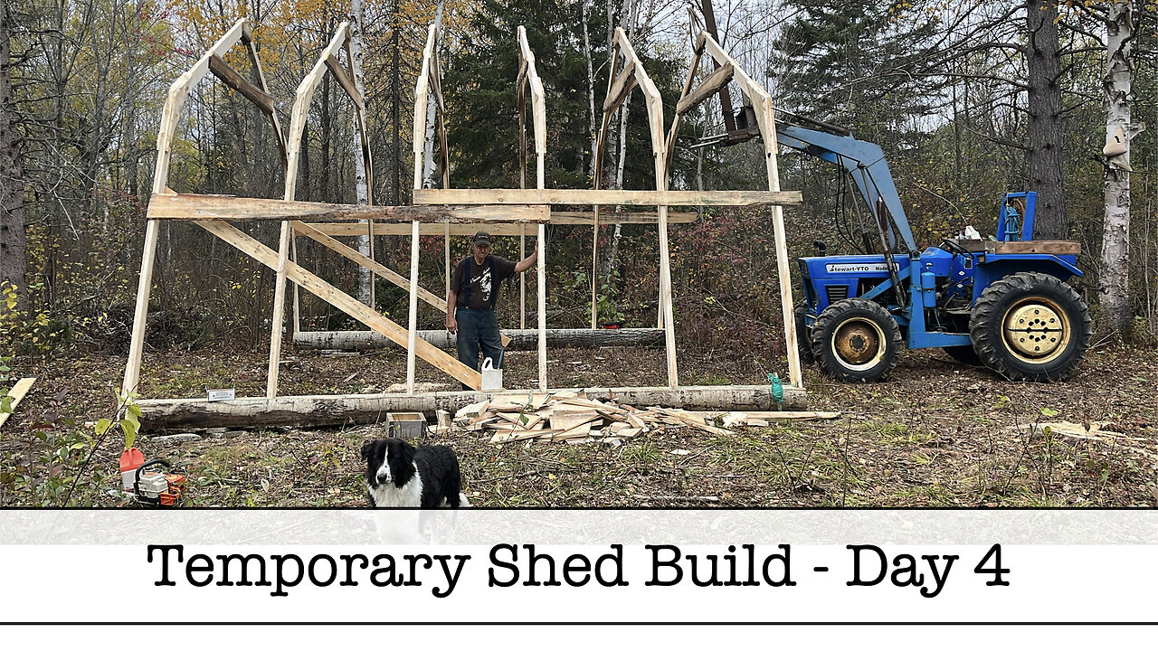 Starting the Build on the Temporary Shed - Day 4