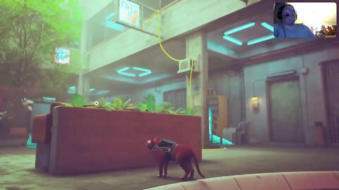 Mrmplayslive Free for all stream 8 stray part 2