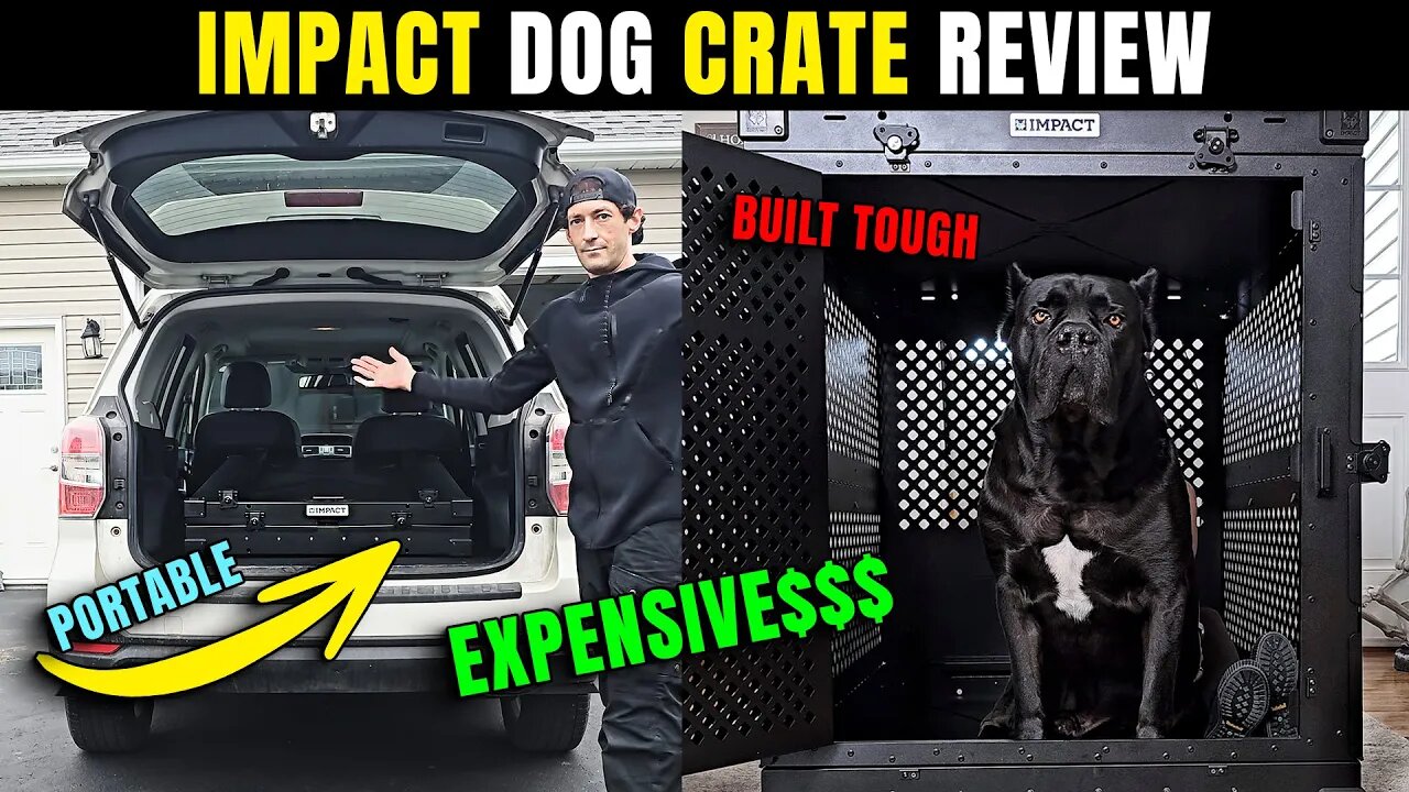 IMPACT Dog Crate Review - World's MOST EXPENSIVE Crate