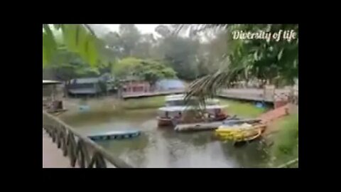 Beautiful park/Chottogram bangladesh/ amazing park.