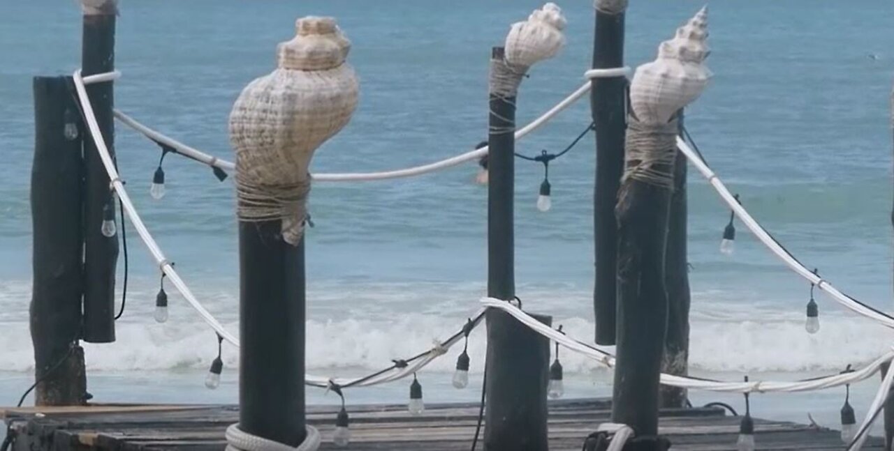 Sights and Sounds on Isla Holbox, Yucatan, Mexico