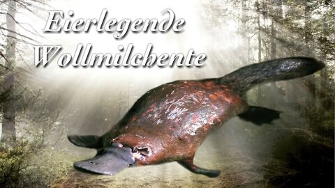 Eierlegende Wollmilchsau