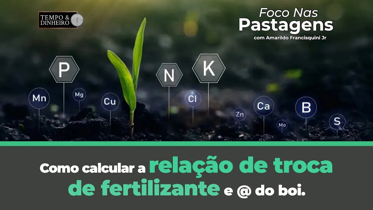 Como calcular a relação de troca de fertilizante e @ do boi.Tema de hoje do Foco nas Pastagens