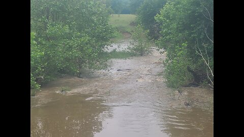 Creek
