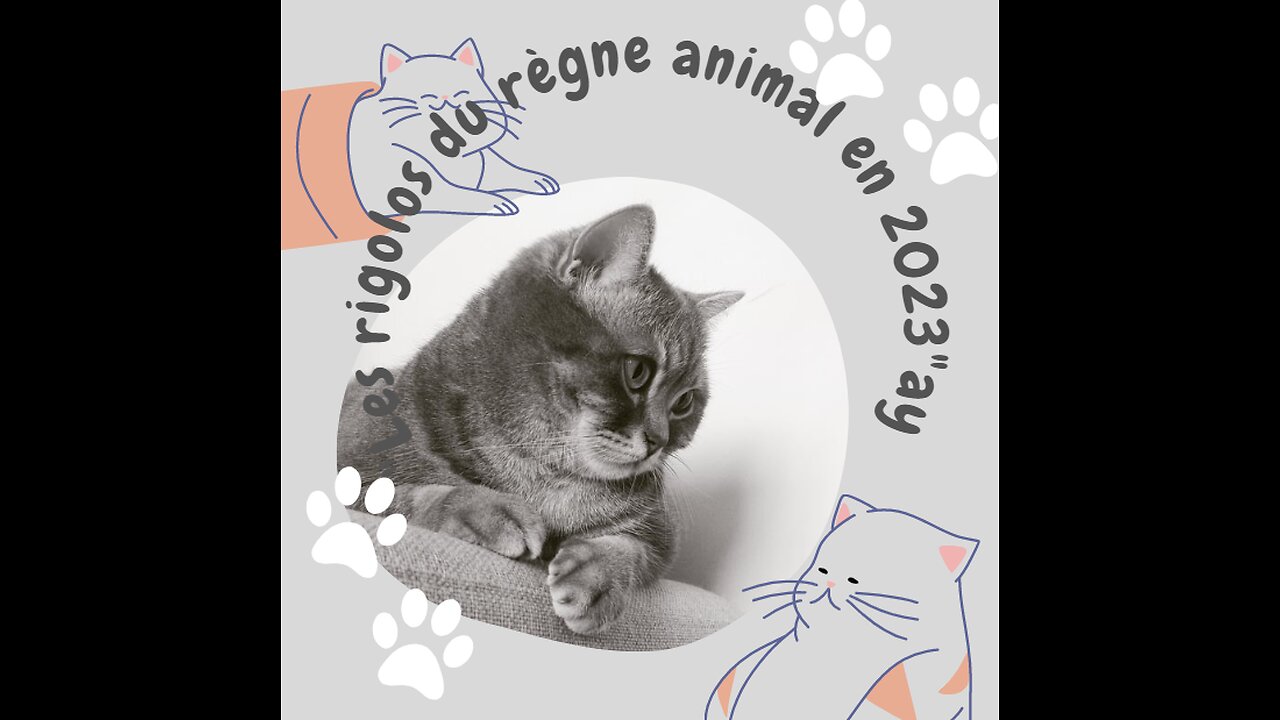 "Les rigolos du règne animal en 2023"