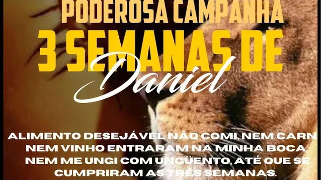 13° dia da campanha de oração dos 21 dias de Daniel