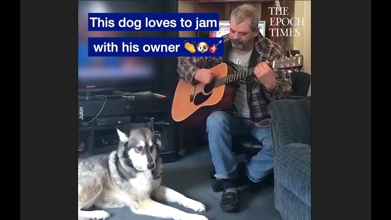 Dog Loves To Jam With His Owner