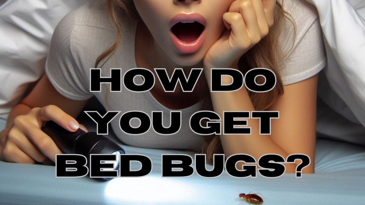 How Do You Get Bed Bugs?